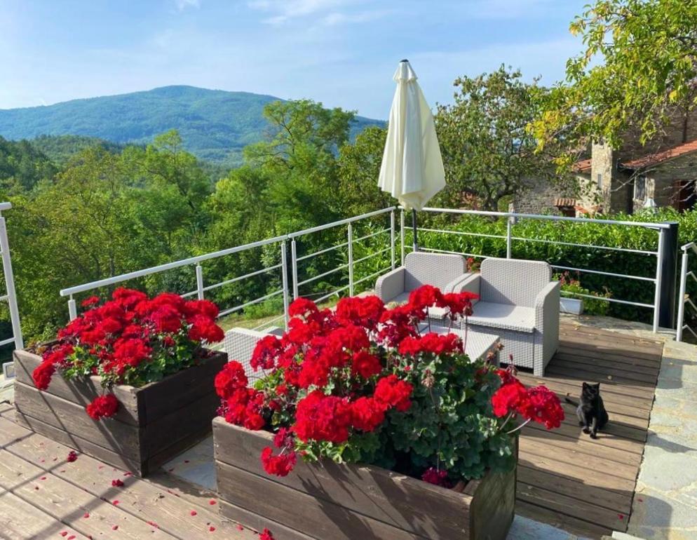 Agriturismo Vezzano Chiusi della Verna Exterior foto